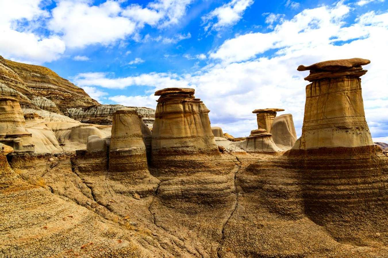 Dinosaur Provincial Park