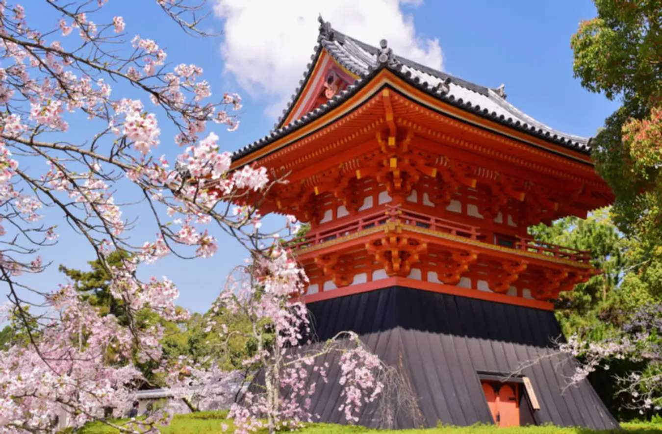 Ninnaji Temple