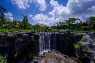 Liburan ke Taman Burung Terbesar Asia: Aktivitas Seru di Singapore Bird Paradise, Xperience Team