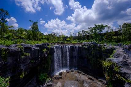 Liburan ke Taman Burung Terbesar Asia: Aktivitas Seru di Singapore Bird Paradise, Xperience Team