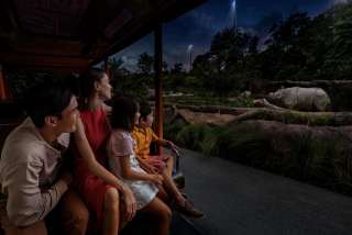 Jelajahi Atraksi Wisata Malam Singapura  Terbaik di Singapore Night Safari , Xperience Team