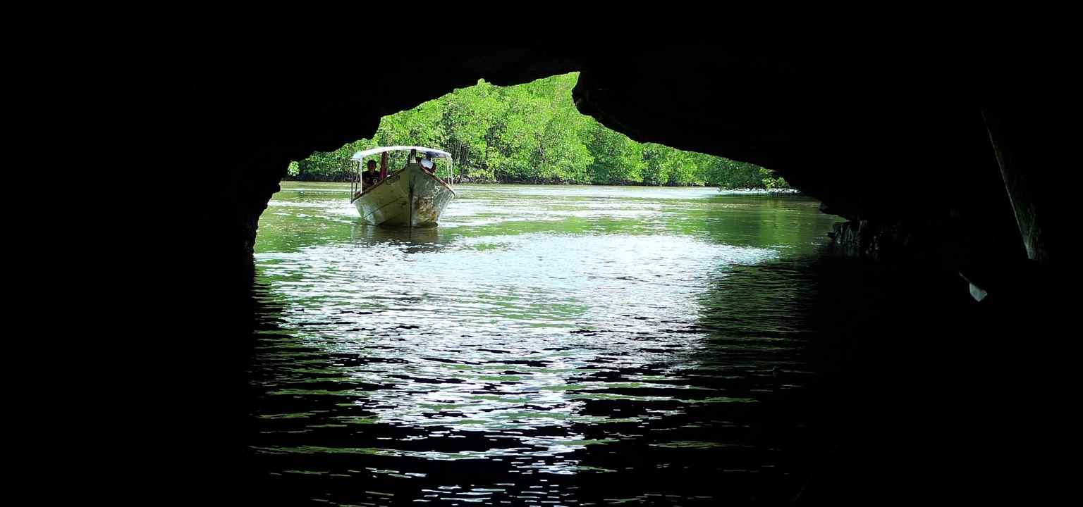 langkawi kilim mangrove tour