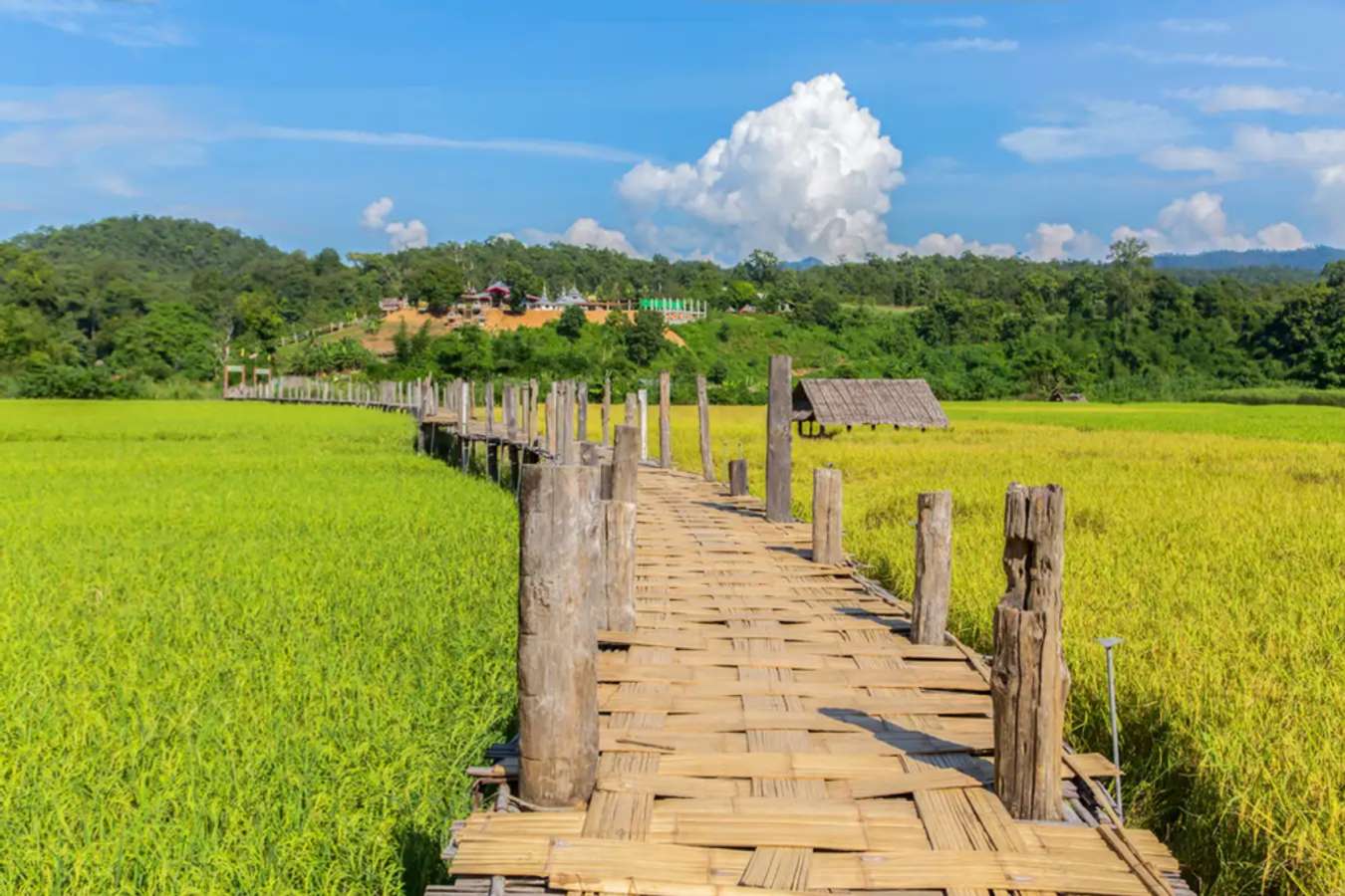 สะพานไม้โขกู้โส่