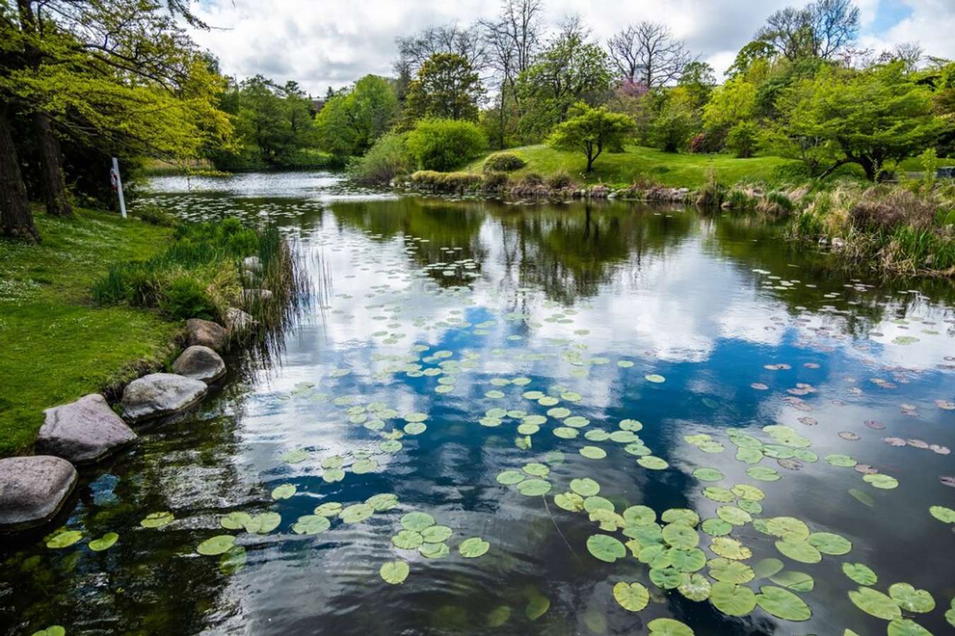 Fairy Lake Botanical Garden