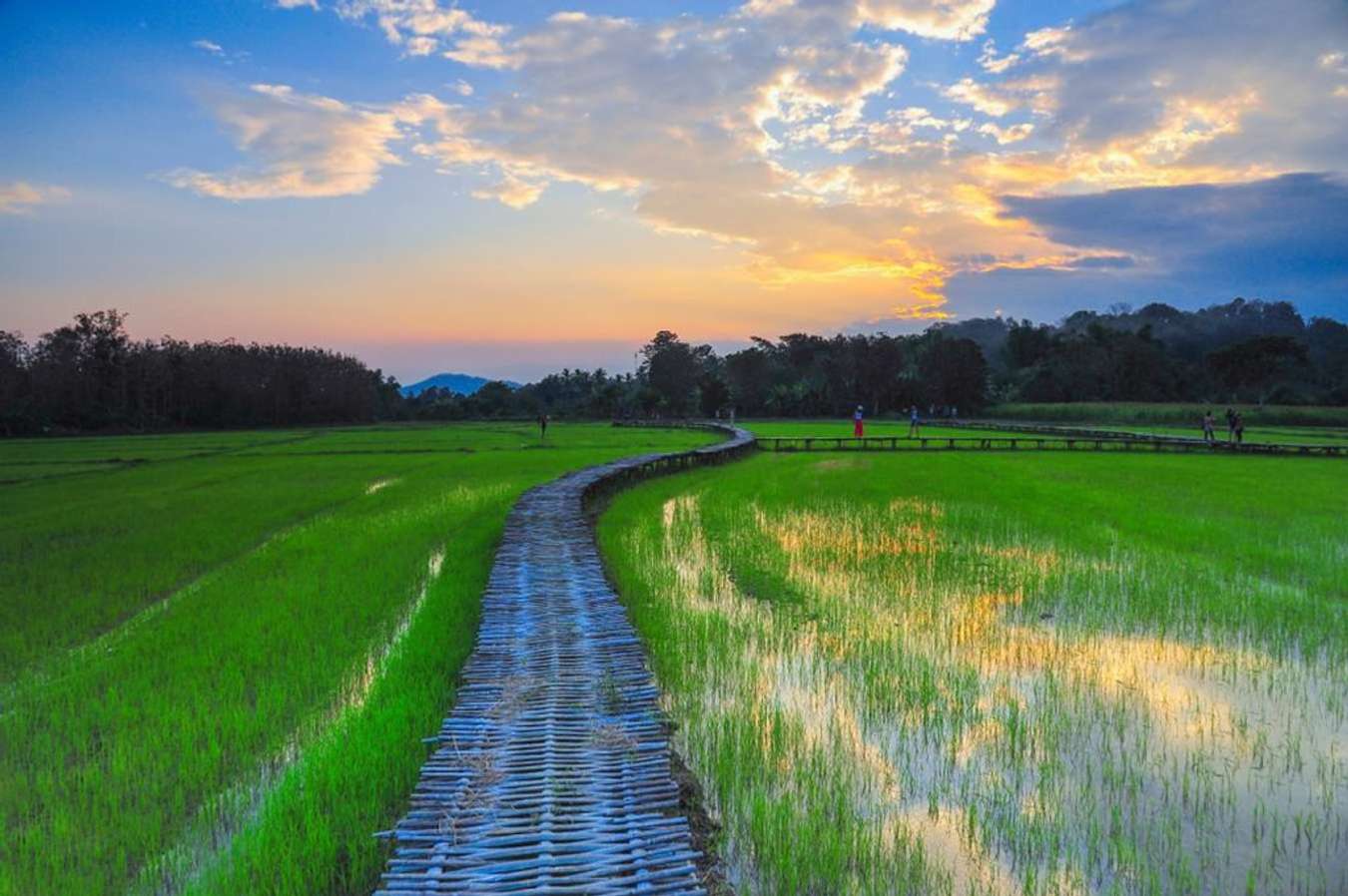 บ้านนาต้นจั่น สุโขทัย