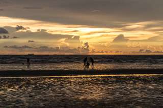 Aktiviti Menarik untuk Dilakukan di Pantai Morib, Traveloka MY