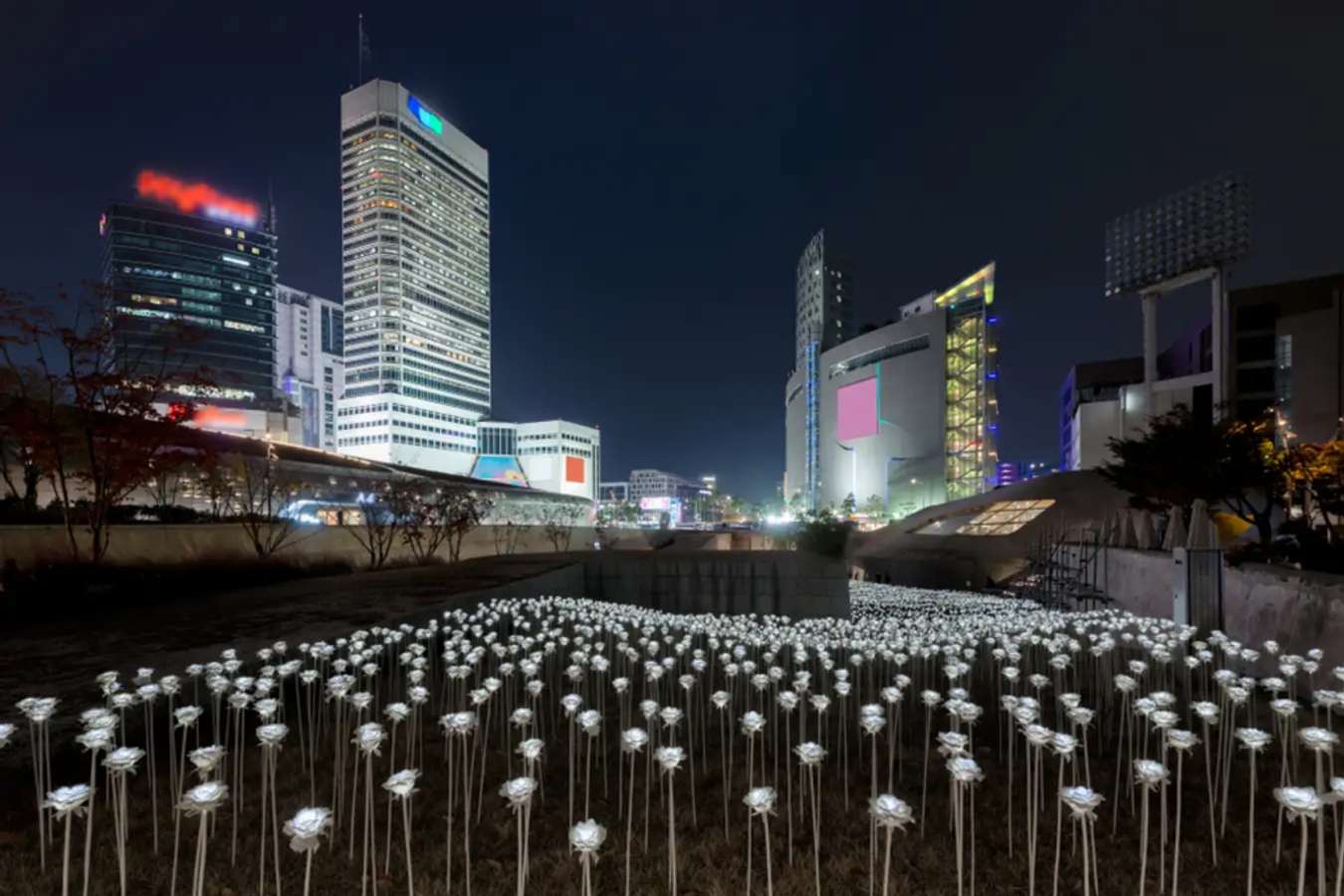 LED Rose Garden