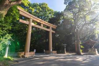 Unveiling the Beauty of Shrines and Temples in Tokyo, Xperience Team