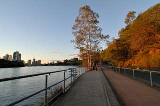 5 Best Parks in Brisbane, Perfect for Leisure Time!, SEO Global