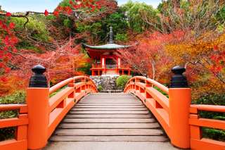 Best Times to Explore Japan: Ideal Months for Traveling, Xperience Team