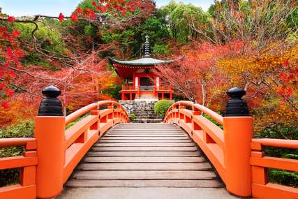 Best Times to Explore Japan: Ideal Months for Traveling, Xperience Team