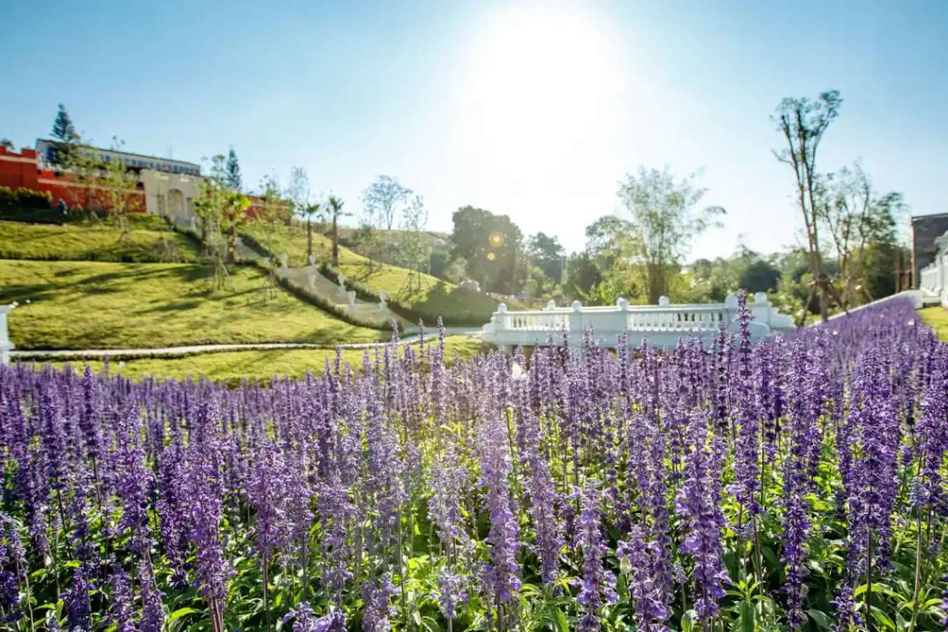 The blue sky Garden