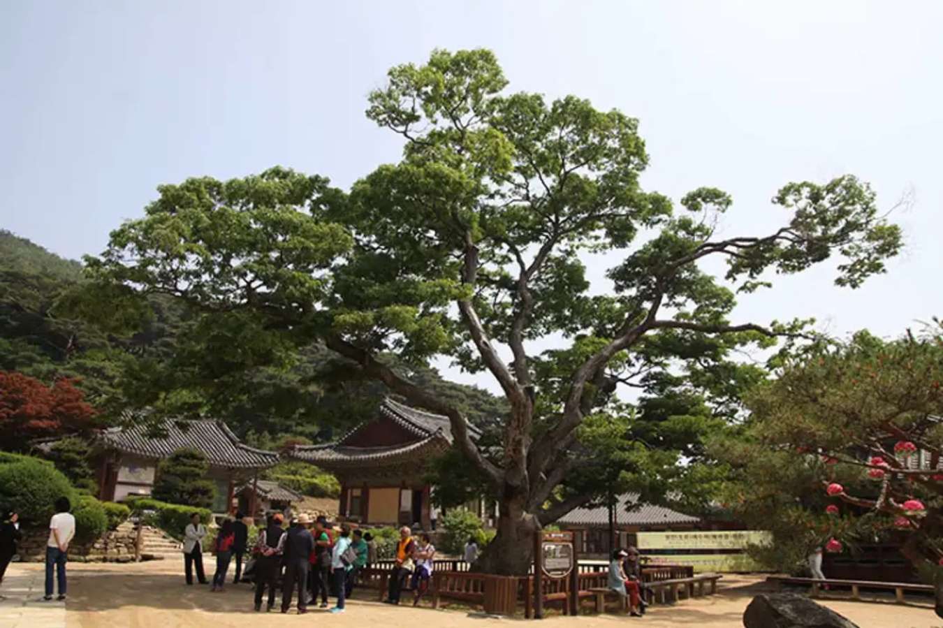 Jeondeungsa Temple