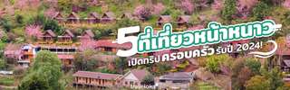 5 พิกัดที่เที่ยวหน้าหนาว พาครอบครัวไปชมวิวสุดอลัง!, SEO Thailand