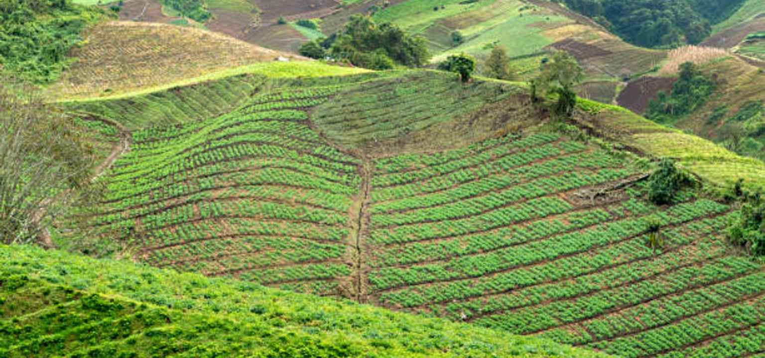 travel ke wonosobo dari semarang