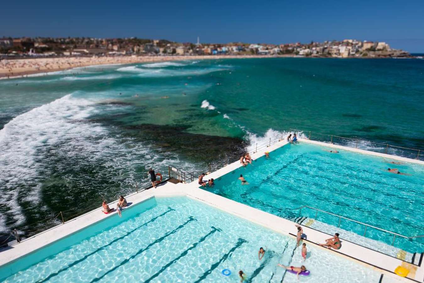 ว่ายน้ำเล่นที่ Bondi Icebergs