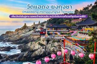 วัดแฮดง ยงกุงซา (Haedong Yonggungsa Temple) เที่ยววัดดังในปูซาน ขอพรเจ้าแม่กวนอิม ชมวิววัดริมทะเลที่สวยที่สุดในเกาหลีใต้, Traveloka TH
