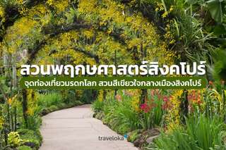 สวนพฤกษศาสตร์สิงคโปร์ จุดท่องเที่ยวมรดกโลก สวนสีเขียวใจกลางเมืองสิงคโปร์, Traveloka TH