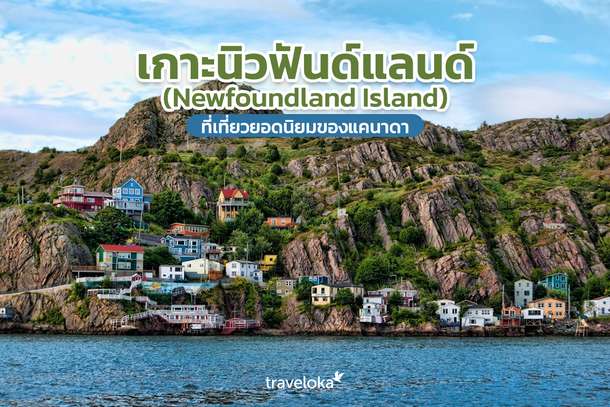 เกาะนิวฟันด์แลนด์ (Newfoundland Island) ที่เที่ยวยอดนิยมของแคนาดา, Traveloka TH