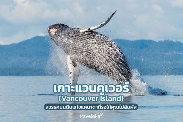 เกาะแวนคูเวอร์ (Vancouver Island) สวรรค์บนดินแห่งแคนาดาที่รอให้คุณไปสัมผัส, Traveloka TH