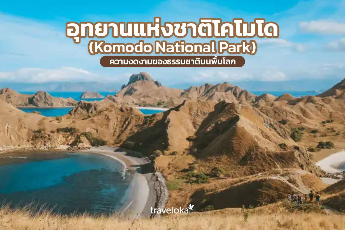 อุทยานแห่งชาติโคโมโด (Komodo National Park) ความงดงามของธรรมชาติบนพื้นโลก, Traveloka TH