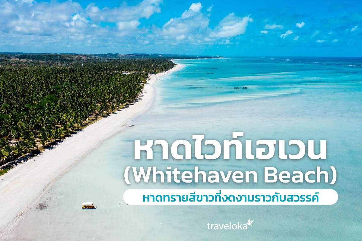 หาดไวท์เฮเวน (Whitehaven Beach) หาดทรายสีขาวที่งดงามราวกับสวรรค์, Traveloka TH