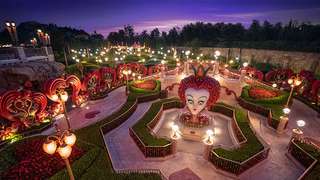 Best Shanghai Disneyland Attractions, SEO Accom (Global)