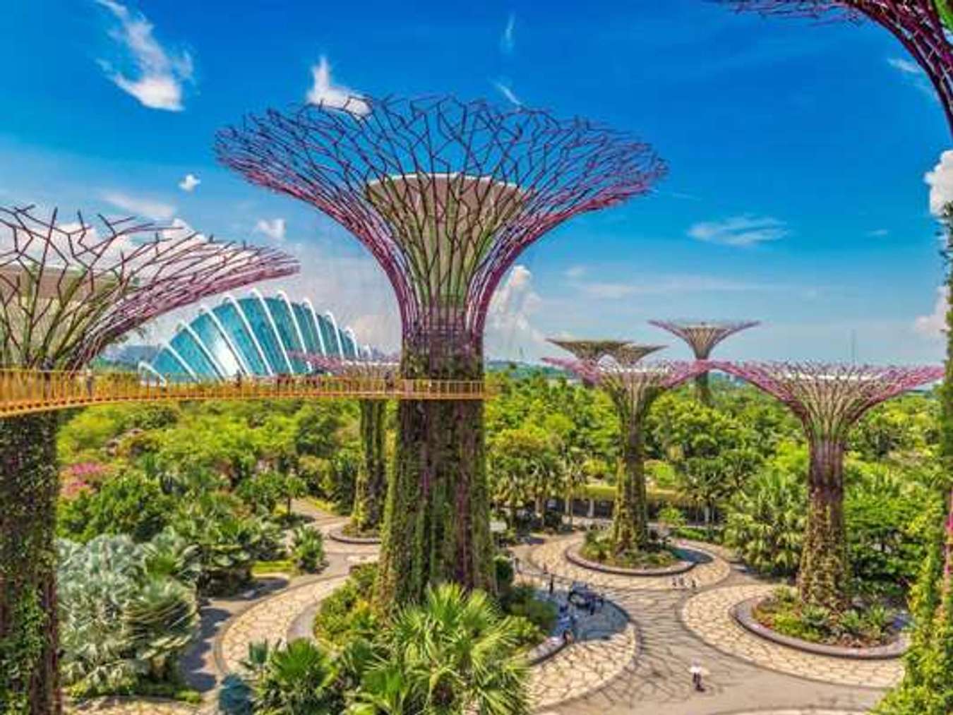 Gardens by the Bay