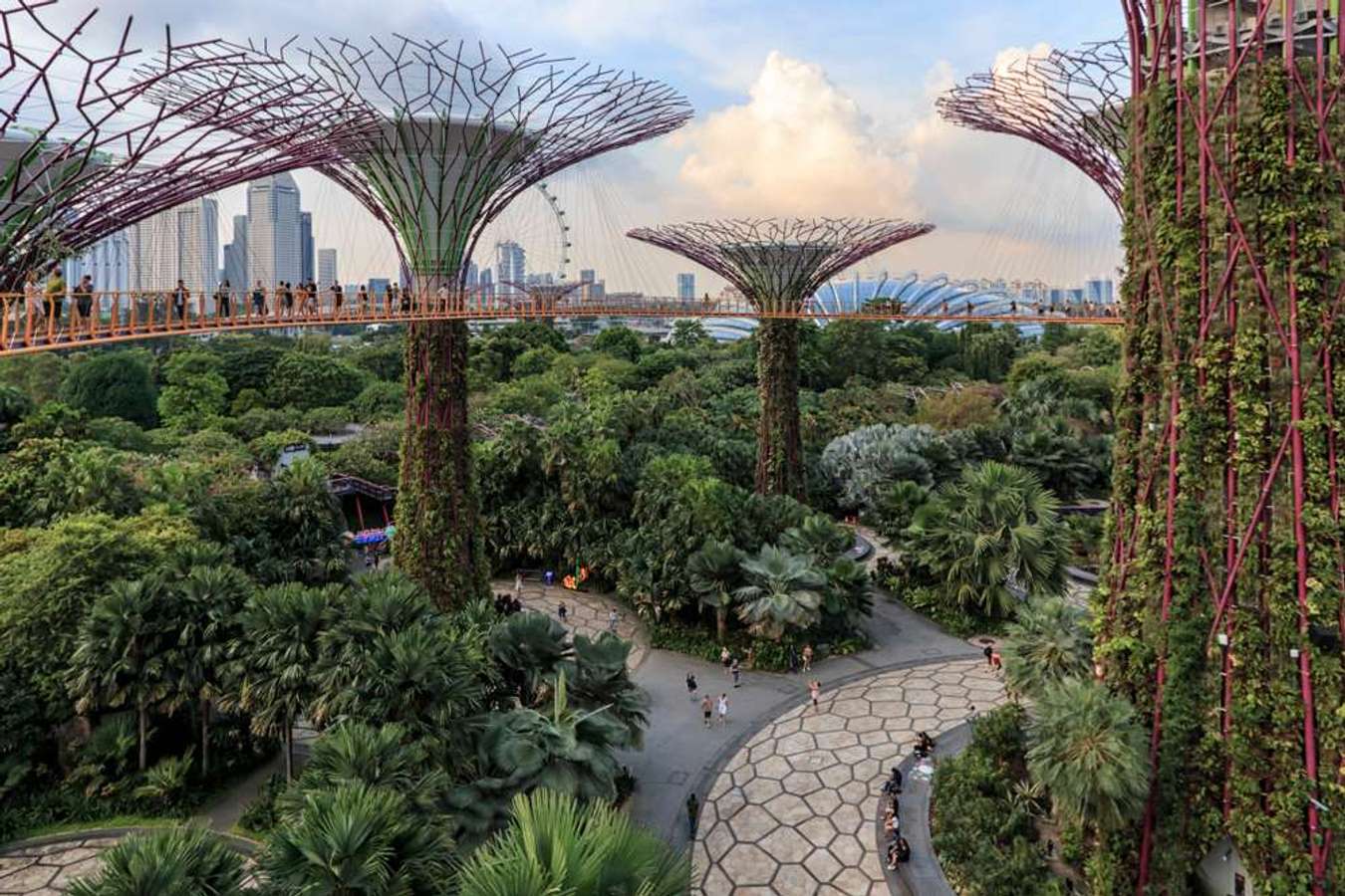 Gardens by the Bay เข้าฟรี