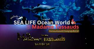 คอมโบเซ็ต SEA LIFE Bangkok Ocean World + Madame Tussauds กิจกรรมครอบครัววันหยุดสุดสัปดาห์, Traveloka TH