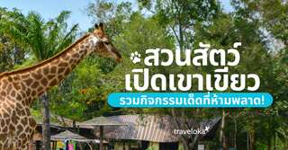 ชวนเที่ยวสวนสัตว์เปิดเขาเขียว แจก 5 กิจกรรมสุดมันส์ห้ามพลาด !, SEO Thailand