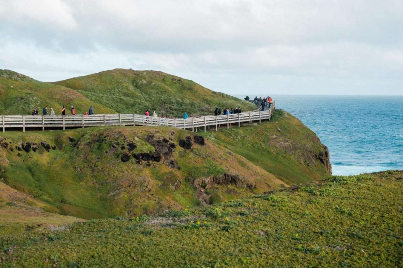 ร้านอาหาร Phillip Island