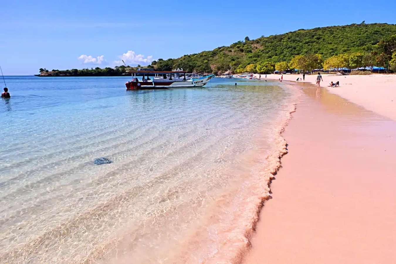 เดินชมวิวบน Pink Beach หาดทรายสีชมพูตระการตา