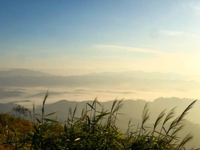 Ngắm mây ở dãy cỏ lau