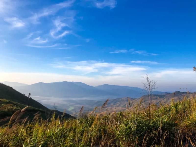 Bãi cỏ lau trên Chư Hreng