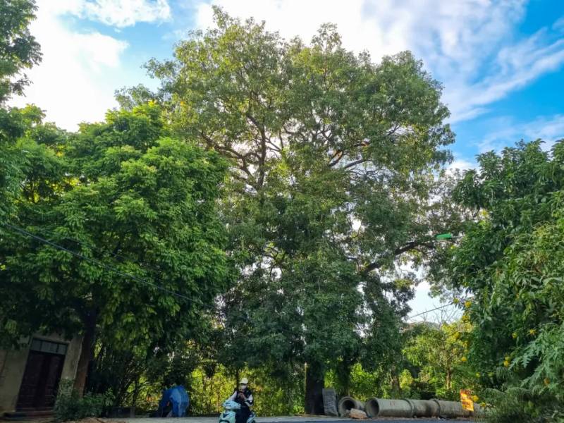 Khi gần tới nơi, đường đẹp hơn rất nhiều