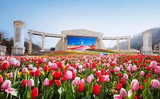 All The Fun Things You Should Know About Everland Korea Theme Park!, Xperience Team
