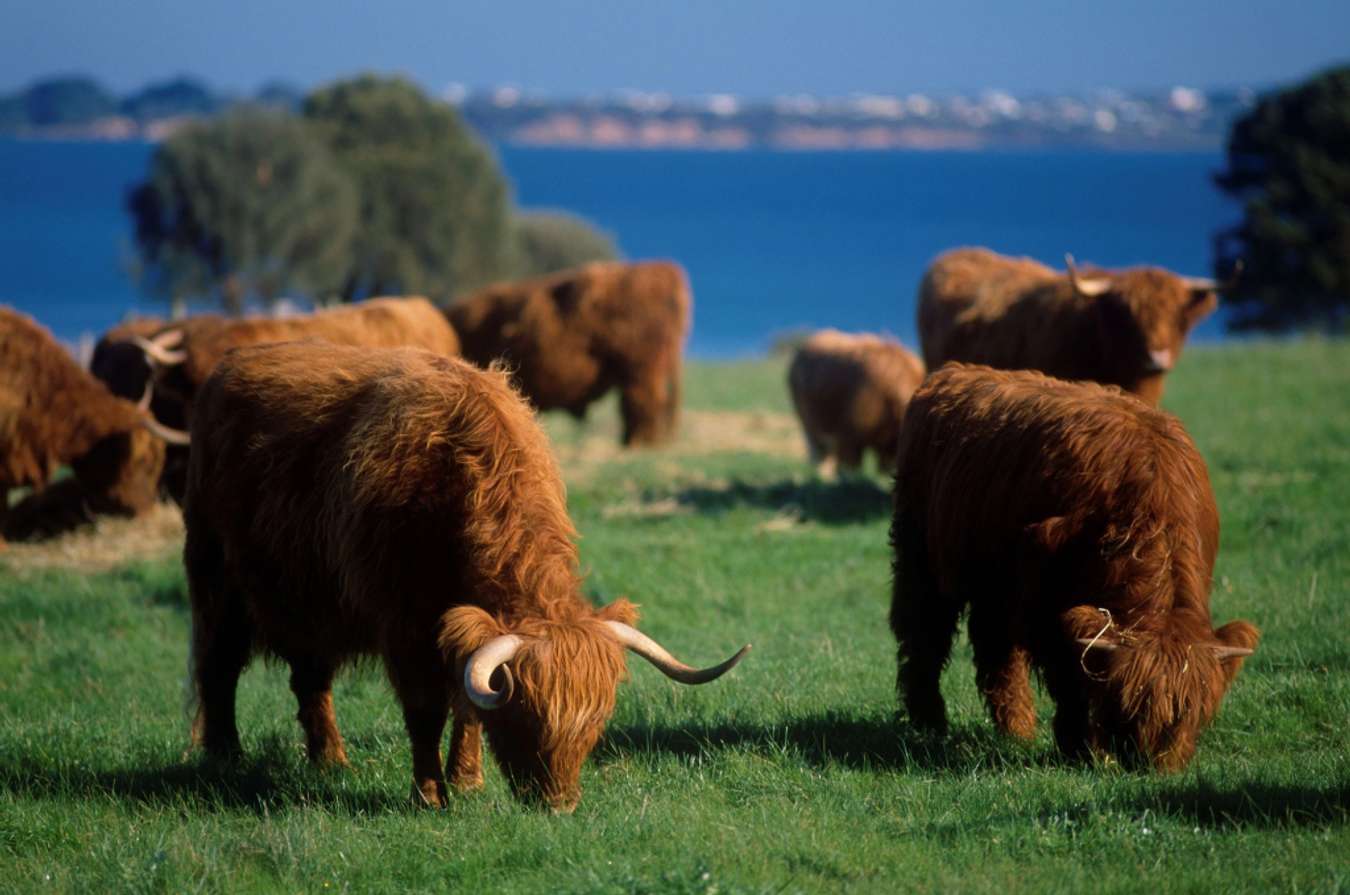 Churchill Island Heritage Farm