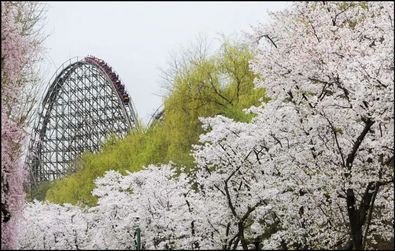 everland เครื่องเล่น