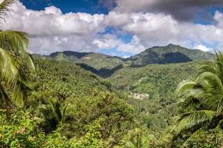 Hiking in Cebu To Explore Nature’s Beauty, SEO Accom (Global)