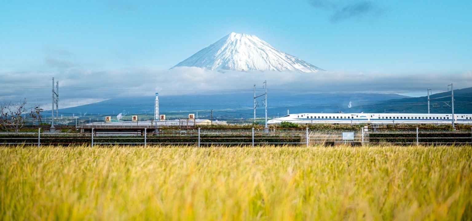 japanese travel bags