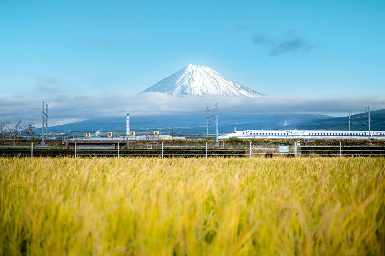 japanese travel bags