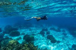 Nikmati Pengalaman Snorkeling Terbaik dan Tak Terlupakan di Langkawi, Traveloka MY