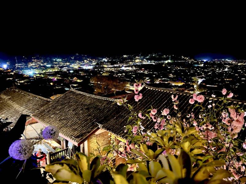 Lệ Giang rực rỡ dưới tán hoa anh đào