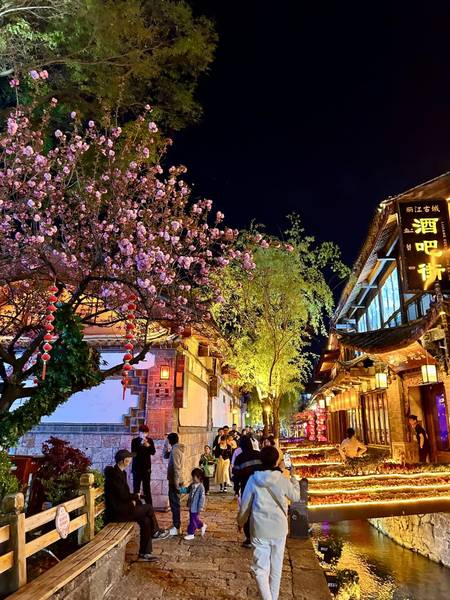 Những con phố đêm trở nên xinh đẹp hơn khi được điểm sắc những cây hoa anh đào - Lệ Giang cổ trấn mùa hoa anh đào