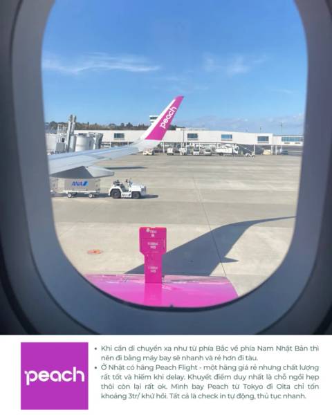 hãng máy bay Peach flight - các phương tiện di chuyển tại Nhật