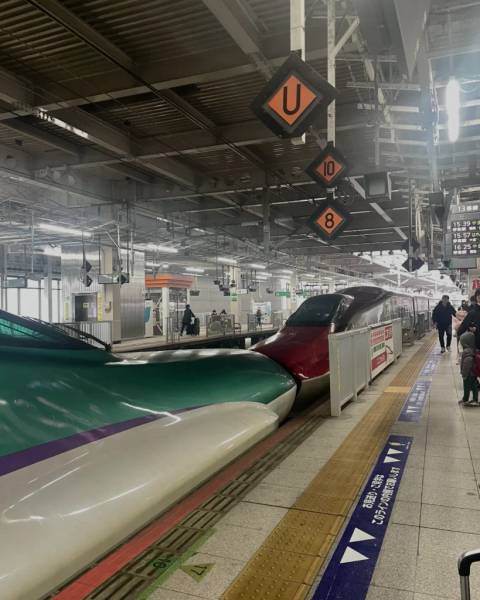 Shinkansen nối đầu tại vùng Tohoku