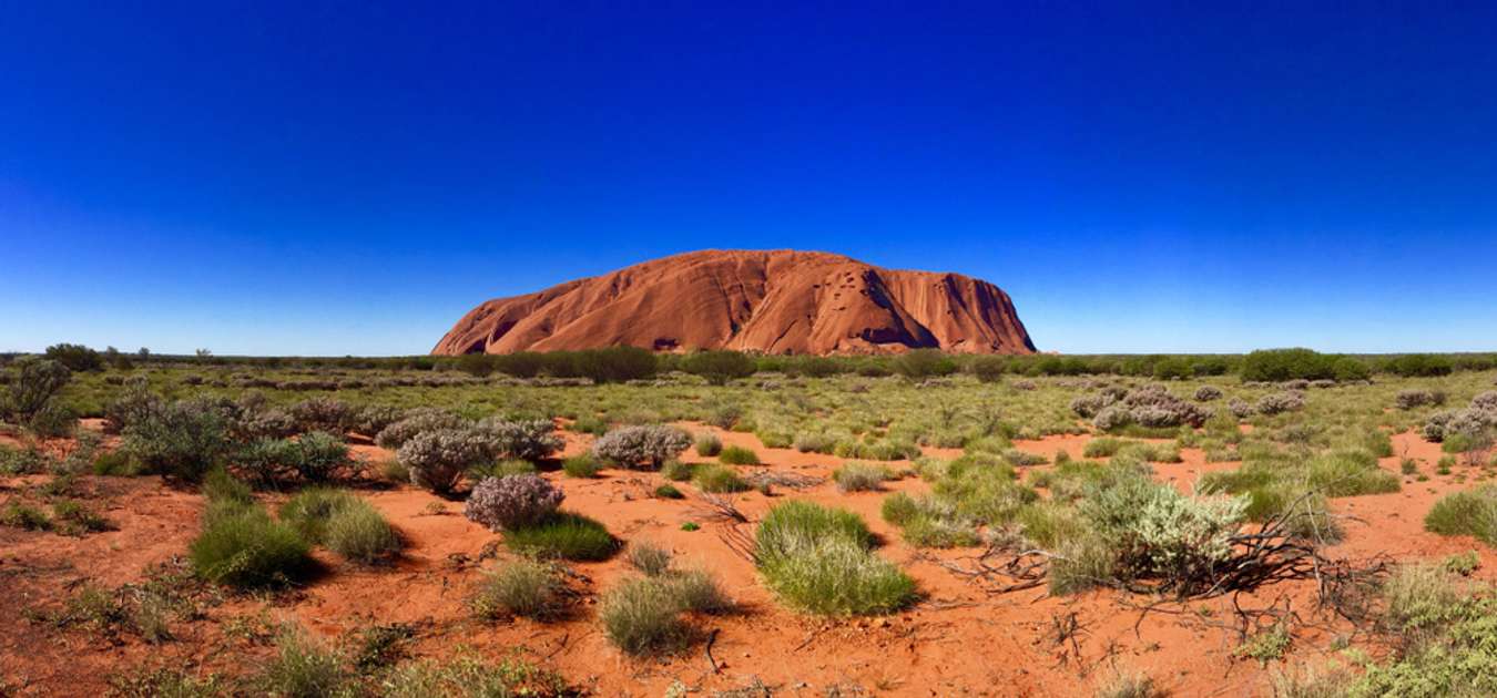 kings canyon tour from alice springs