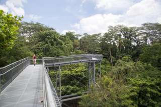 5 Most Romantic Places in Singapore: A Complete Guide for Couples, SEO Accom (Global)
