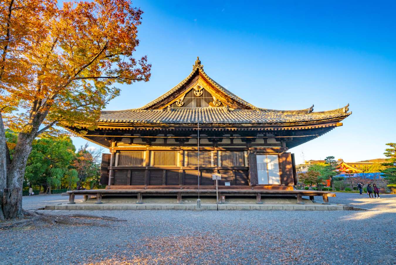 arashiyama bamboo grove visit